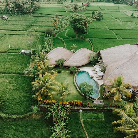 Villa Omah Padi Ubud Eksteriør bilde
