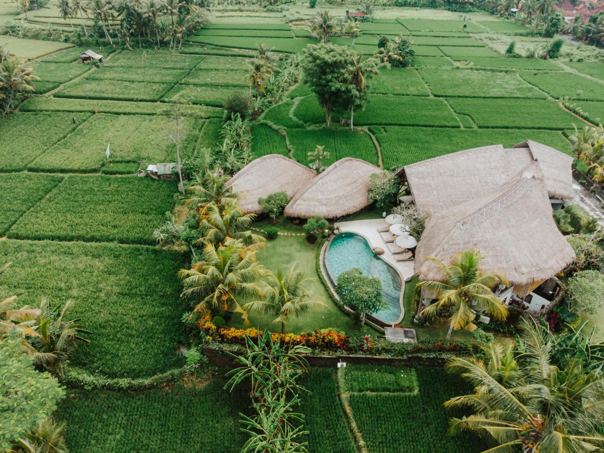 Villa Omah Padi Ubud Eksteriør bilde