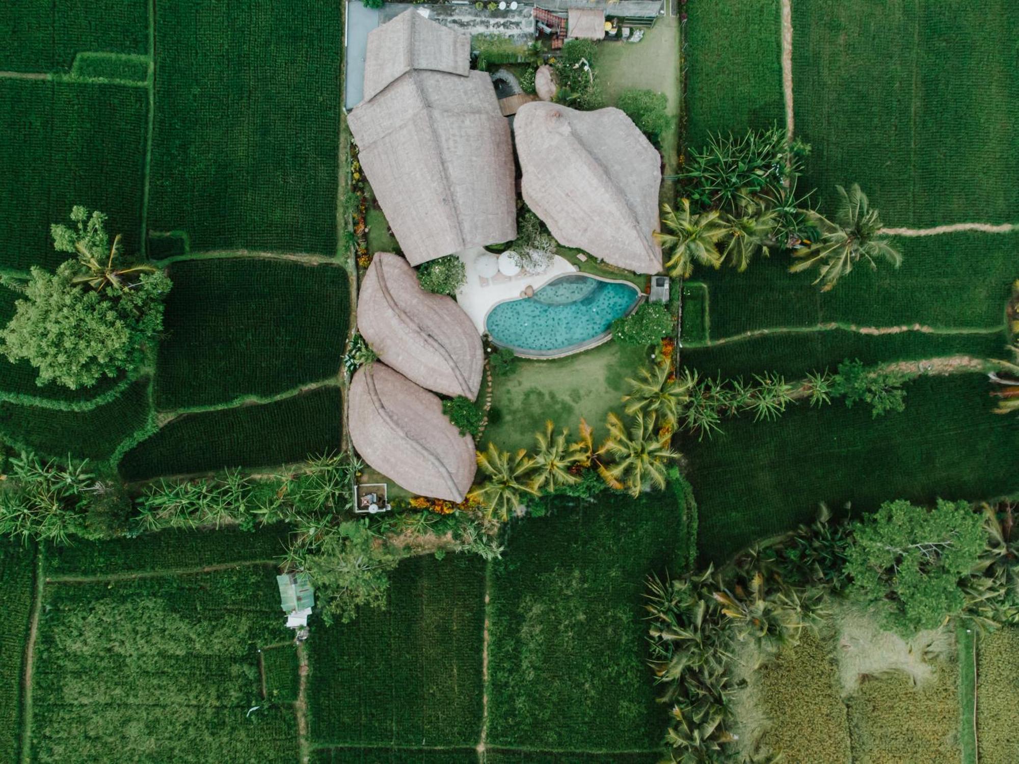 Villa Omah Padi Ubud Eksteriør bilde